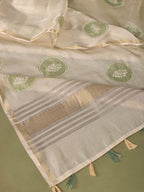 Bagh-e-Iram Chanderi Tissue Saree