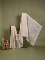 Shubra Chanderi Tissue Saree